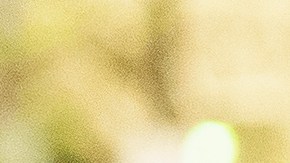 Estas tecnologías permiten a las autoridades rastrear y atacar rápidamente a estudiantes internacionales y otros grupos migrantes marginados.