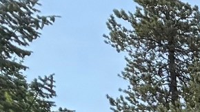 El Solterra EV 2026 Touring XT tiene un sofisticado sistema de asistencia en las colinas.