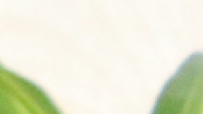 Con nueve meses de embarazo, Cari López Alvarado fue agredida físicamente sin justificación el 8 de junio por parte de agentes de ICE.