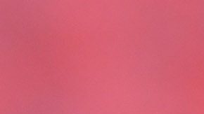 Guadalajara, Jalisco, 1 de octubre de 2022. , durante el partido de la jornada 17 del torneo Apertura 2022 de la Liga BBVA MX, entre los Rojinegros del Atlas y los Rayos del Necaxa, celebrado en el estadio Jalisco. Foto: Imago7/ Lorena Barba