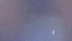 Ciudad de México, 31 de agosto de 2024. Giorgos Giakoumakis en festejo de gol durante el partido correspondiente a la jornada 6 del torneo Apertura 2024 de la Liga BBVA MX, entre la Máquina Celeste del Cruz Azul y las Águilas del América, realizado en el estadio Ciudad de los Deportes. Foto: Imago7/ Etzel Espinosa