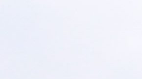 Ciudad de México, 16 de julio de 2025. Bandera, durante el partido correspondiente a la jornada 2 del torneo Apertura 2025 de la Liga BBVA MX, entre las Águilas del América y los Xolos de Tijuana, realizado en el estadio Ciudad de los Deportes. Foto: Imago7/ Alexis Chávez