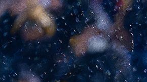 Ciudad de México, 16 de julio de 2025. Brian Rodríguez anota gol, durante el partido correspondiente a la jornada 2 del torneo Apertura 2025 de la Liga BBVA MX, entre las Águilas del América y los Xolos de Tijuana, realizado en el estadio Ciudad de los Deportes. Foto: Imago7 / Diego Padilla