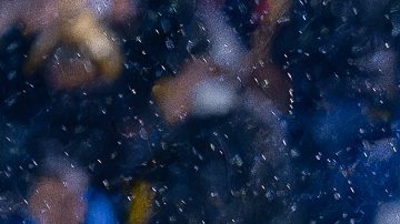 Ciudad de México, 16 de julio de 2025. Brian Rodríguez anota gol, durante el partido correspondiente a la jornada 2 del torneo Apertura 2025 de la Liga BBVA MX, entre las Águilas del América y los Xolos de Tijuana, realizado en el estadio Ciudad de los Deportes. Foto: Imago7 / Diego Padilla