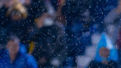 Ciudad de México, 16 de julio de 2025. Brian Rodríguez anota gol, durante el partido correspondiente a la jornada 2 del torneo Apertura 2025 de la Liga BBVA MX, entre las Águilas del América y los Xolos de Tijuana, realizado en el estadio Ciudad de los Deportes. Foto: Imago7 / Diego Padilla