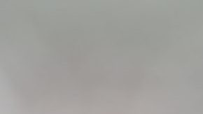 Jaime Lozano junto a Efraín Juárez son los únicos dos entrenadores mexicanos en la Liga MX.