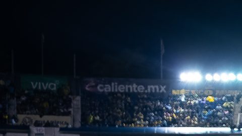 Los Gallos Blancos tienen nuevo refuerzo.