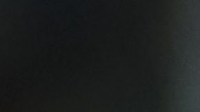 Jugadores de Santos celebran el gol con el que derrotaron a Chivas.