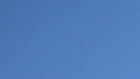 San Nicolás de los Garza, Nuevo León, 16 de agosto de 2025. Portigoles, durante el partido correspondiente a la jornada 5 del torneo Apertura 2025 de la Liga BBVA MX, entre los Tigres de la UANL y las Águilas del América, realizado en el estadio Universitario. Foto: Imago7/ Andrea Jiménez