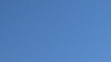 San Nicolás de los Garza, Nuevo León, 16 de agosto de 2025. Portigoles, durante el partido correspondiente a la jornada 5 del torneo Apertura 2025 de la Liga BBVA MX, entre los Tigres de la UANL y las Águilas del América, realizado en el estadio Universitario. Foto: Imago7/ Andrea Jiménez