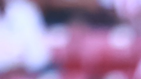 Luis Romo, una de las figuras del mediocampo de las Chivas.