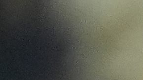 San Nicolás de los Garza, Nuevo León, 16 de agosto de 2025. , durante el partido correspondiente a la jornada 5 del torneo Apertura 2025 de la Liga BBVA MX, entre los Tigres de la UANL y las Águilas del América, realizado en el estadio Universitario. Foto: Imago7/ Andrea Jiménez