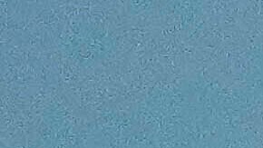 La princesa de Gales reaparece luciendo un audaz y renovado look