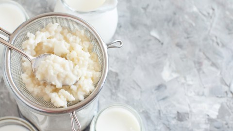 Kéfir, microorganismos que favorecen tu salud