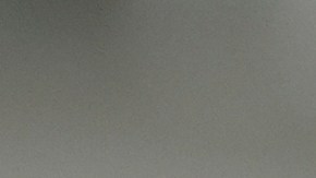 Es absurdo que los políticos demócratas opten por glorificar y apoyar a un pandillero de la MS-13”, aseguró el gobierno.