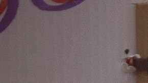 Gobierno aseguró que Ábrego García era miembro de la MS-13 para justificar su expulsión.