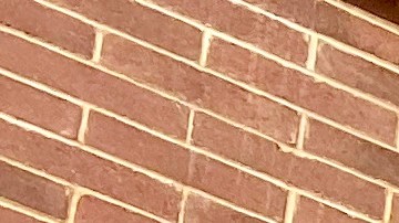 Kroger cerrará tiendas en agosto: aquí las ubicaciones