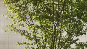 La revolución de MG, llega la batería semisólida