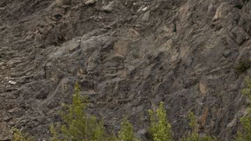 Lucid Motors pierde $82,000 por auto pese a su calidad