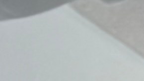 La mayoría de los alumnos que participaron son latinos.