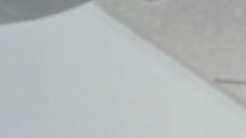 La mayoría de los alumnos que participaron son latinos.