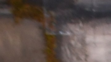 María Antonieta de las Nieves