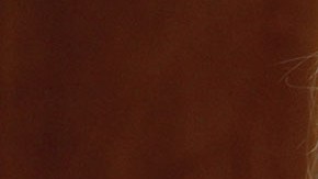 Michelle Lujan Grisham, gobernadora de Nuevo México