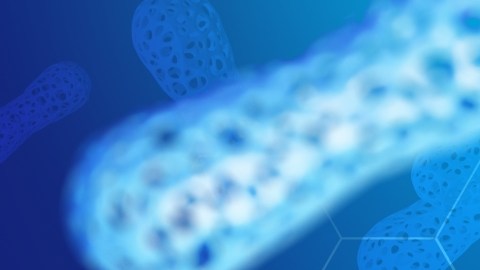 El gut microbiome: la conexión entre las bacterias intestinales y enfermedades crónicas