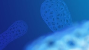 El gut microbiome: la conexión entre las bacterias intestinales y enfermedades crónicas