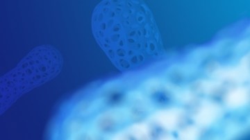 El gut microbiome: la conexión entre las bacterias intestinales y enfermedades crónicas