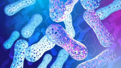 El gut microbiome: la conexión entre las bacterias intestinales y enfermedades crónicas