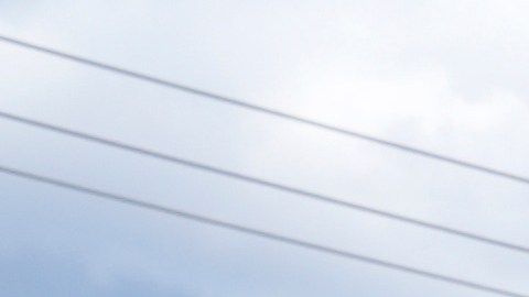 La compra se realizó con tal urgencia que se realizó por adjudicación directa, sin pasar por un proceso formal de licitación pública.