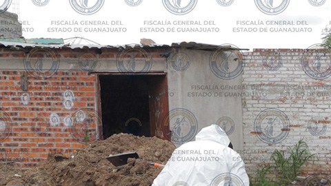 Narcofosa