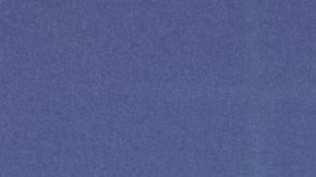 Natalia Alcocer plagio