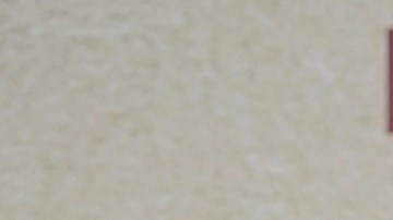 Natti Natasha, Raphy Pina