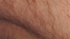 Los funerales ecológicos están en auge: ¿de qué se tratan?