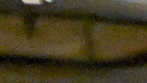 Nicki Nicole Lamine Yamal