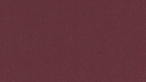 De acuerdo con la agencia estadounidense, Maduro y otros altos funcionarios venezolanos brindaron apoyo material a organizaciones calificadas como terroristas.