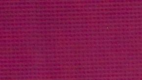 Ninel Conde critica las eliminaciones en 'La Casa de los Famosos México'