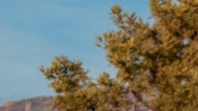 Nación que estuvo a punto de desaparecer por el VIH, hoy es líder mundial en eliminación del virus en niños