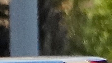 A Los Angeles Police officer and members of the Office of the Mayor of Los Angeles assist witnesses after two people were killed Tuesday, Aug. 2, 2022 in Los Angeles. Authorities say a driver who was fleeing police crashed into a homeless encampment in South Los Angeles, killing a man and a woman. (AP Photo/Damian Dovarganes)