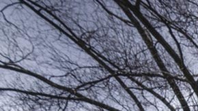 Edificio de la Oficina de Gestión de Personal