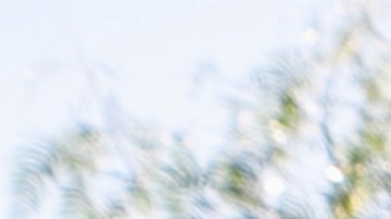 Members of Coalition for Humane Immigrant Rights (CHIRLA) join labor unions, faith organizations, and other immigrant rights and social justice organizations to mark "International Migrants Day" with a rally on Wednesday, Dec. 18, 2024, in Los Angeles. (AP Photo/Damian Dovarganes)