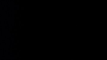 Versiones afirmaban que Rusia intentó interferir a través de medios cibernéticos en el resultado de las elecciones de 2016.