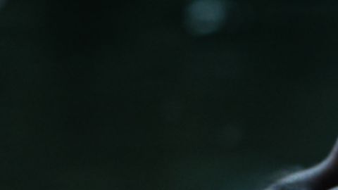 The Fish Tank InFocus: Latin & Hispanic Cinema 2025