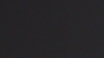 Hijo de Pepe Aguilar causa polémica al comparar a su familia con "perros" en controvertida imagen