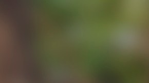 Precio de las casas bajan en ciertas zonas de EE.UU.