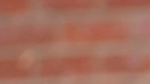 El príncipe Harry niega haber tenido una pelea con el príncipe Andrés