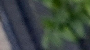 Members of the United Teachers Los Angeles UTLA join labor unions, faith organizations, and other immigrant rights and social justice organizations, including Coalition for Humane Immigrant Rights (CHIRLA) and National Day Laborer Organizing Network (NDLON), mark "International Migrants Day" with a march and rally on Wednesday, Dec. 18, 2024, in Los Angeles. (AP Photo/Damian Dovarganes)