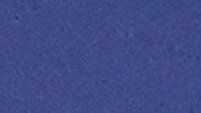 Los documentos incluían la hora y el lugar precisos de cada reunión, así como los números de teléfono de varios funcionarios.